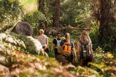 Cabaret Cave Yoga & Mindful Hike - Book Restaurant 2
