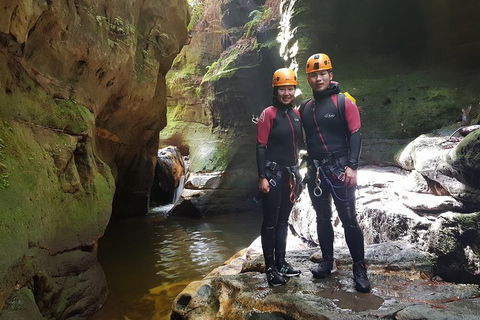 Blue Mountains Empress Canyon Adventure From Wentworth Falls - Book Restaurant 0