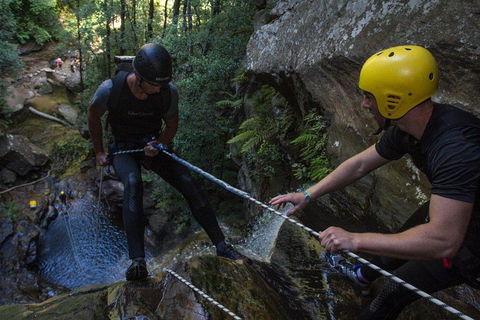 Blue Mountains Empress Canyon Adventure From Wentworth Falls - Book Restaurant 2