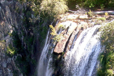 Byron Bay Combo: Hinterland Tour Including Minyon Falls And Kayaking With Dolphins - Book Restaurant 3