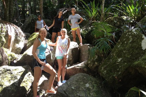 Byron Bay Combo: Hinterland Tour Including Minyon Falls And Kayaking With Dolphins - Book Restaurant 4
