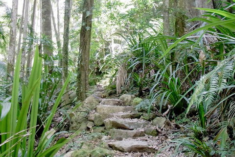 Byron Bay Combo: Hinterland Tour Including Minyon Falls And Kayaking With Dolphins - Book Restaurant 5