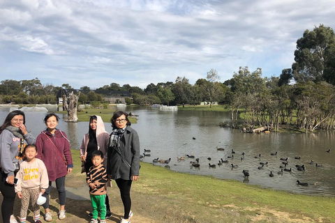 Phillip Island Penguins Private Tour - Book Restaurant 1