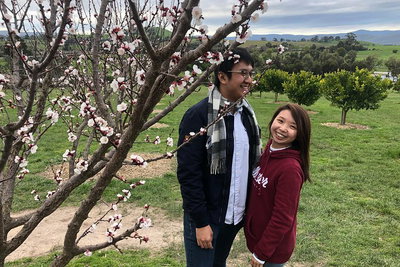 Private Yarra Valley And Puffing Billy Tour