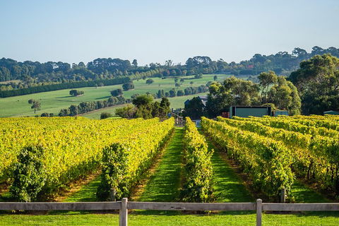 Private Tours From Melbourne - Book Restaurant 1