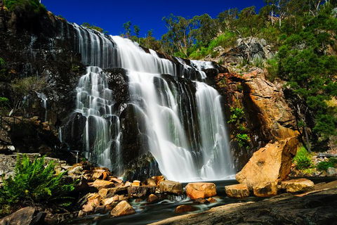 Private Grampians Day Tour - Book Restaurant 1