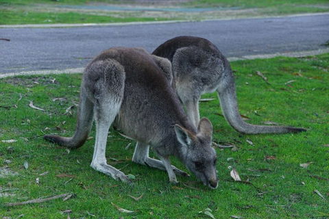 Private Grampians Day Tour - Book Restaurant 5