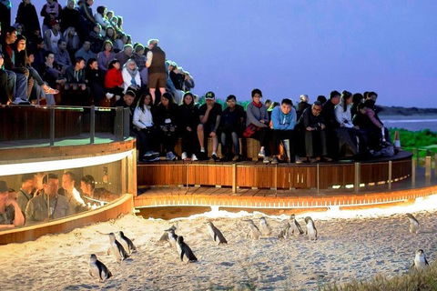 Private Phillip Island Tour - Book Restaurant 3
