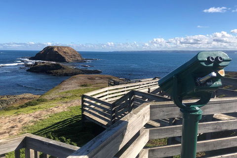 Private Phillip Island Tour - Book Restaurant 4