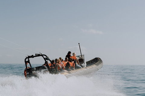Adventure Whale Watching Tour Mooloolaba - Book Restaurant 0