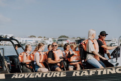 Adventure Whale Watching Tour Mooloolaba - Book Restaurant 4
