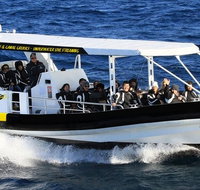 Mooloolaba Whale Watching Tour - Book Restaurant