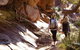 Full-Day Private Tour To Grampians From Melbourne - thumb 4
