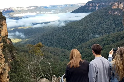 Blue Mountains Private Tour - Wild Kangaroos, Waterfalls And The Three Sisters - Book Restaurant 3