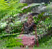 Full-Day Guided Hinterland Adventure Tour in Queensland - Book Restaurant