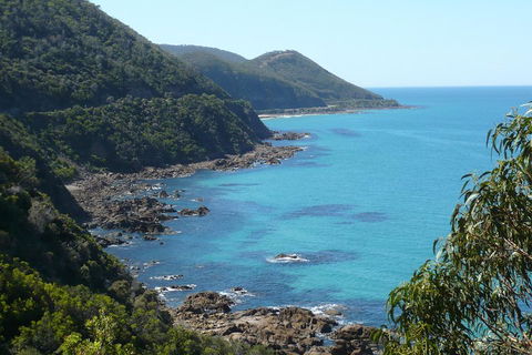 3-Day Great Ocean Road And Grampians Tour From Melbourne - Book Restaurant 2