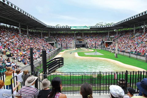 Croc Express To Australia Zoo From Brisbane - Book Restaurant 2