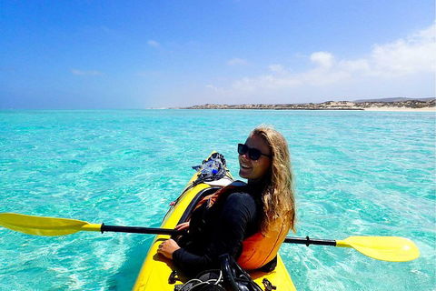Lagoon Explorer - Ningaloo Reef Full-Day Kayaking And Snorkeling Adventure - Book Restaurant 1
