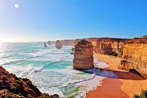 LGBT+ Friendly 12-Hour Great Ocean Road Private Tour - Book Restaurant 3