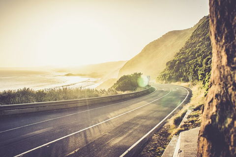LGBT+ Friendly 12-Hour Great Ocean Road Private Tour - Book Restaurant 4