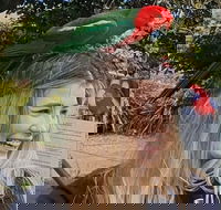 Lamington National Park O'Reilly's  Vineyard Tour - Book Restaurant