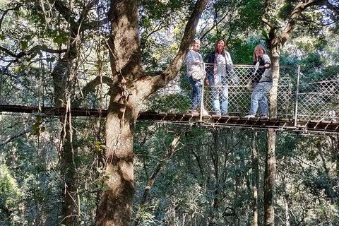 Lamington National Park, O'Reilly's & Vineyard Tour - Book Restaurant 2