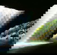 Natural Bridge  Springbrook Waterfalls Tour - Book Restaurant