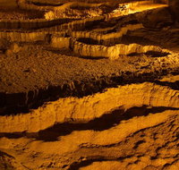 The Explorers' Discovery Tour - Gold Wine  Wildlife - Book Restaurant
