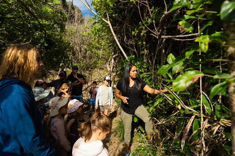Cape Byron Aboriginal Tour - Book Restaurant 4