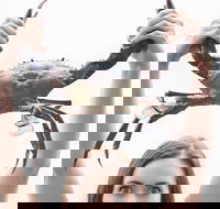 The Ultimate Gold Coast Attractions Pass - Book Restaurant