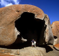 Full-Day Kangaroo Island Safari from Penneshaw - Book Restaurant