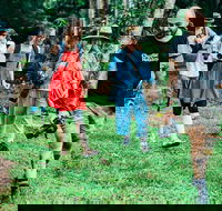 Let's Go Buggin  Let's Go Shroomin - Photography  Nature Walking Tours - Book Restaurant