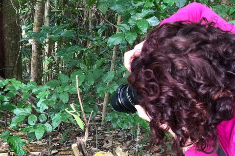 Let's Go Buggin & Let's Go Shroomin - Photography & Nature Walking Tours - Book Restaurant 1