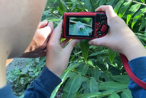 Let's Go Buggin & Let's Go Shroomin - Photography & Nature Walking Tours - Book Restaurant 2