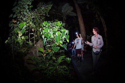 Let's Go Buggin & Let's Go Shroomin - Photography & Nature Walking Tours - Book Restaurant 4