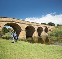 Bonorong Wildlife Park and Richmond Afternoon Tour from Hobart - Book Restaurant