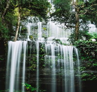 Mt Field National Park and Russell Falls from Hobart - Book Restaurant