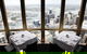 Infinity At Sydney Tower - thumb 1