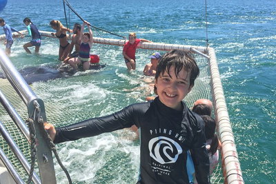 Port Stephens Private Tour From Sydney with Dolphin/ Whale Cruise Options