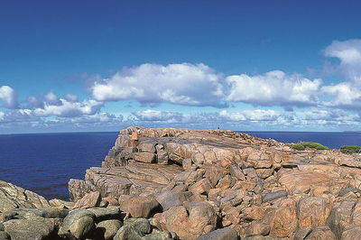 4 Day Tour Albany Margaret River Valley of the Giants TreeTop Walk from Perth