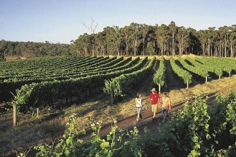Margaret River, Caves, Wine And Cape Leeuwin Lighthouse Tour From Perth - Book Restaurant 1