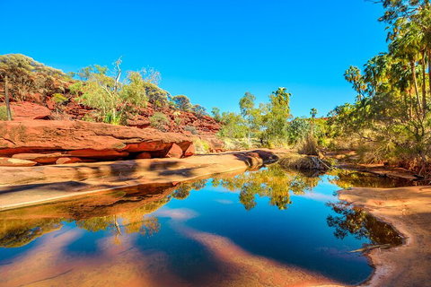 7-Day Guided Tour Of Alice Springs With Accommodation Included - Book Restaurant 1