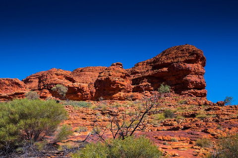 7-Day Guided Tour Of Alice Springs With Accommodation Included - Book Restaurant 4