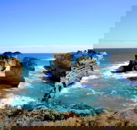 Great Ocean Road Small-Group Ecotour from Melbourne - Book Restaurant