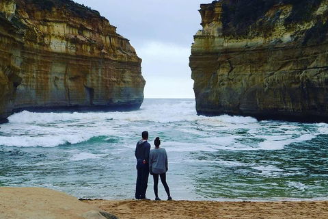 Great Ocean Road Small-Group Ecotour From Melbourne - Book Restaurant 1