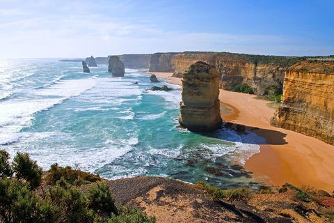 Great Ocean Road Small-Group Ecotour From Melbourne - Book Restaurant 2