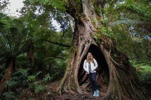 Two Day Melbourne To Adelaide Tour - Great Ocean Road & Grampians - Book Restaurant 4