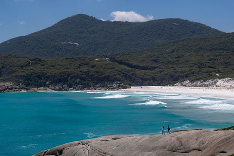Wilson's Promontory Small Group Eco Tour From Melbourne - Book Restaurant 0