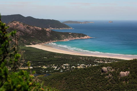 Wilson's Promontory Small Group Eco Tour From Melbourne - Book Restaurant 4