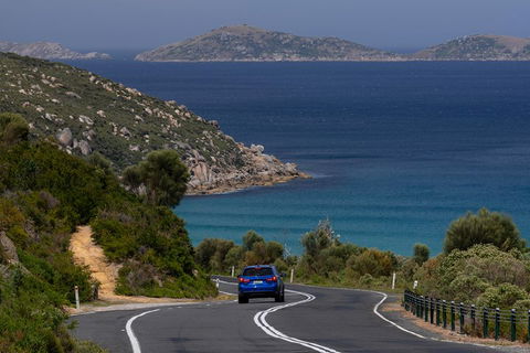 Wilson's Promontory Small Group Eco Tour From Melbourne - Book Restaurant 5